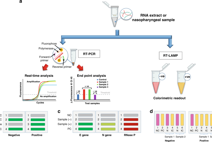 PCR Testing